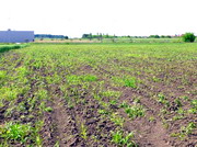 Rasaririle neuniforme din culturile de primavara 2