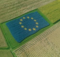 Viziunea LAPAR fata de Politica Agricola Comuna 2014 – 2020