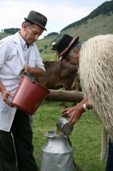 1372365585 lapte resize