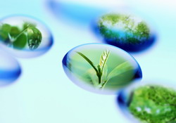 Cererile pentru agricultura ecologica se pot depune pana la 29 noiembrie 2013