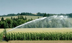 BigGun traveler1 resize