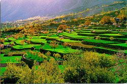 Hunza-Terraced-Fields resize