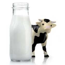 Se acorda cota de lapte din rezerva nationala pe 2013