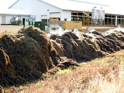 Gunoiul de grajd ca sursa de poluare