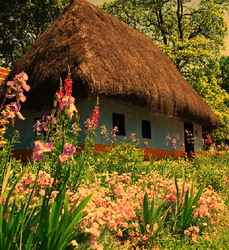 Definitia subzistentei.