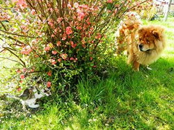 Legalizeaza-ti prietenul!