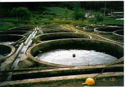 Pastravarii circulare