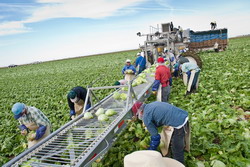 borderissues-4 resize