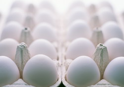 Controale si amenzi la comerciantii de oua din Dambovita