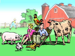 Zeci de mii de americani pensionari traiesc in mici ferme de tip “Hobby”