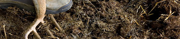 dejectii animaliere - gunoi de grajd 2