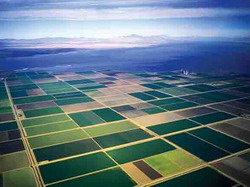California, model de dezvoltare agricola