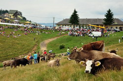 nedeia-muntilor-fundata resize