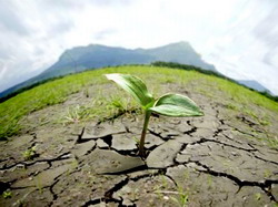 Prevenirea si diminuarea efectelor secetei. Viitorul lucrarilor de irigatii