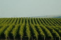 technical visits 2 resize