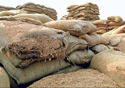 2012 3largeimg204 Mar 2012 105946627 resize