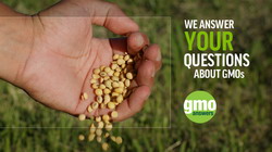 Producatorii de OMG au lansat un site pentru a combate miscarea anti-biotehnologie