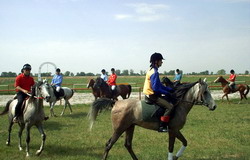 Herghelia Mangalia va fi redata circuitului turistic