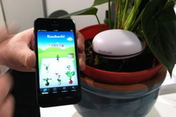 Koubachi Wi-Fi Sensor, alunga grijile iubitorilor de plante
