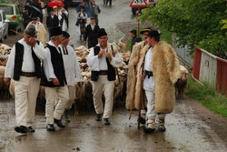 Negrilesti-jud-Vrancea-456 resize