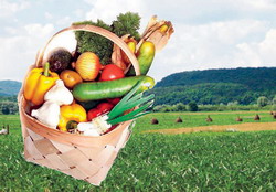 Unii fermieri au renuntat la agricultura ecologica de teama controalelor APIA