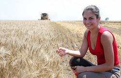 Peste 4,6 tone de grau la hectar va fi anul acesta in Ungaria