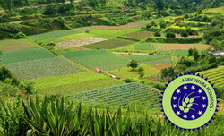 600 euro/hectar va fi subventia in agricultura ecologica