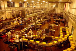 Ce lucruri extraordinare se pot realiza in Negrilesti