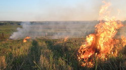 Exclusi de la subventi pe suprafata daca dau foc la paie