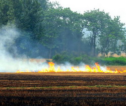 incendiere teren agricol