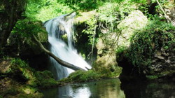 Greenpeace condamna iresponsabilitatea politicienilor privind siturile Natura2000