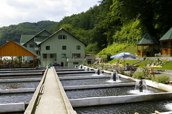 pastravarie 03 big resize