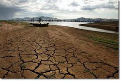 Protectia mediului: agricultura va avea din ce in ce mai putina apa.