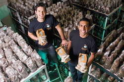 0326 mushrooms 630x420 resize