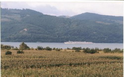 452559555rdjaqz fs resize