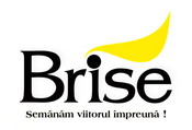 Brise Logo