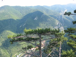 Un puternic incendiu in Parcul National Domogled