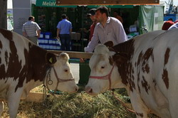 175 de expozanti si-au rezervat deja standuri la AGROMALIM Arad