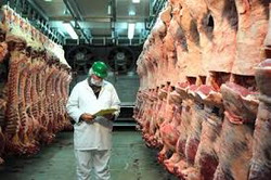 carcasa-animale resize