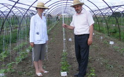 cercetatatori-buzau resize