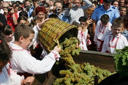 31 august – 1 septembrie 2013: Festivalul Tamaioaselor