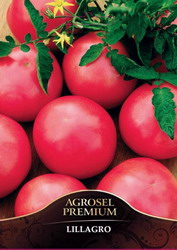 Soiurile de rosii Lillagro si Ruxandra