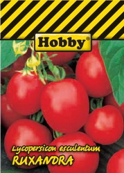 tomate ruxandra 1 resize