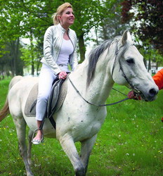 udreamediafax ceba3cd33e resize