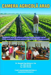 9 puncte tari ale consultantei agricole romanesti