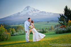 136 0556 09 MG 1907-2 resize