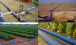 Sistemul de irigatii prin picurare John Deere la porumb