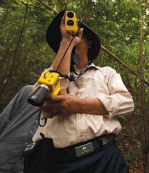 Liniile directoare pentru administratorii de padure privind schimbarile climatice