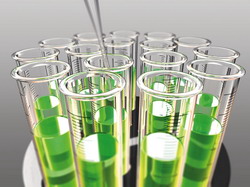 Biocide-release-system-prolongs-antifungal-activity resize