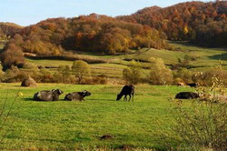 Agricultura judetului Salaj de ieri si de azi